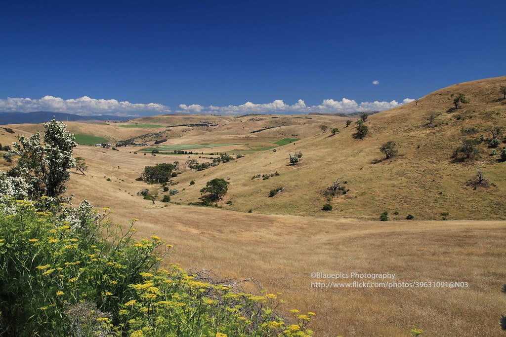 near Ellendale, Tasmanian landscape Gunter Hartnagel Flickr