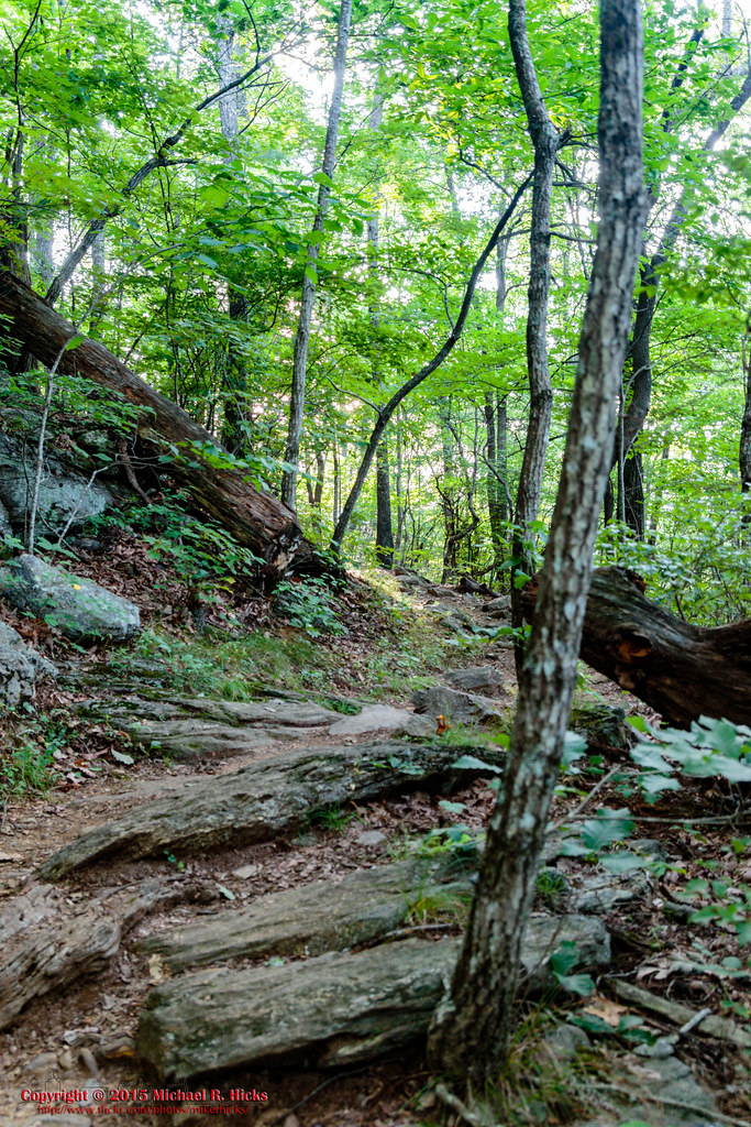 Sunrise on the Appalacian Trail Near Woody Gap, GA Flickr
