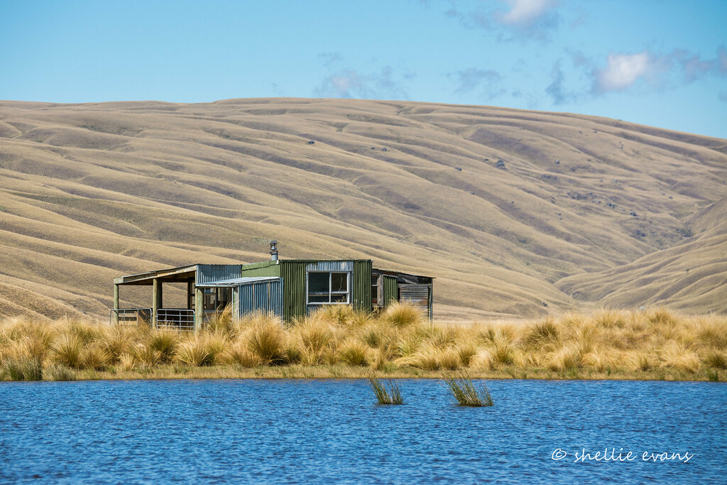 Lake Onslow The Dismal Swamp, Central Otago, New Zealand Flickr