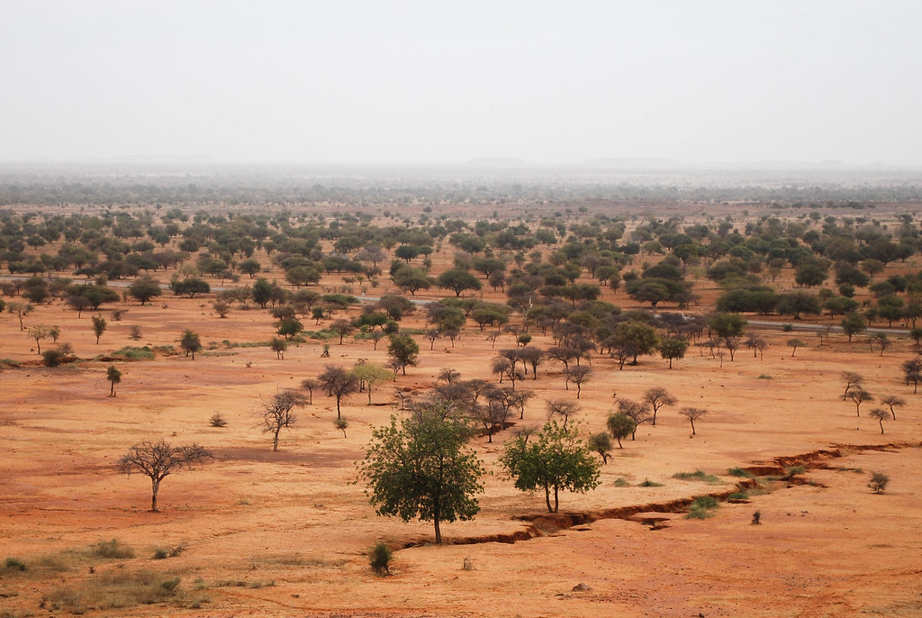 Landscape of Sahel CIFOR Knowledge