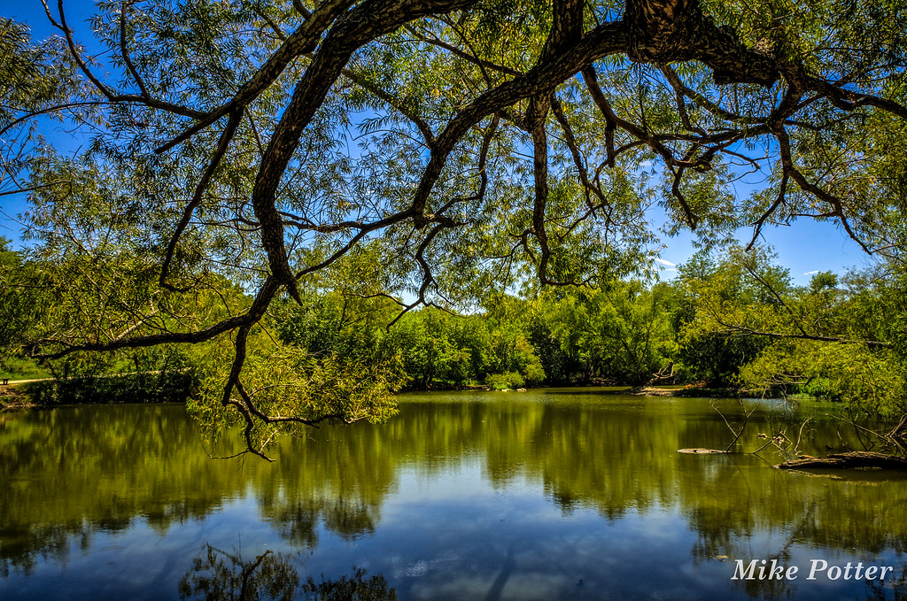 Buddy Calk Pond Along the Leon Creek Greenway, San Antonio… mike