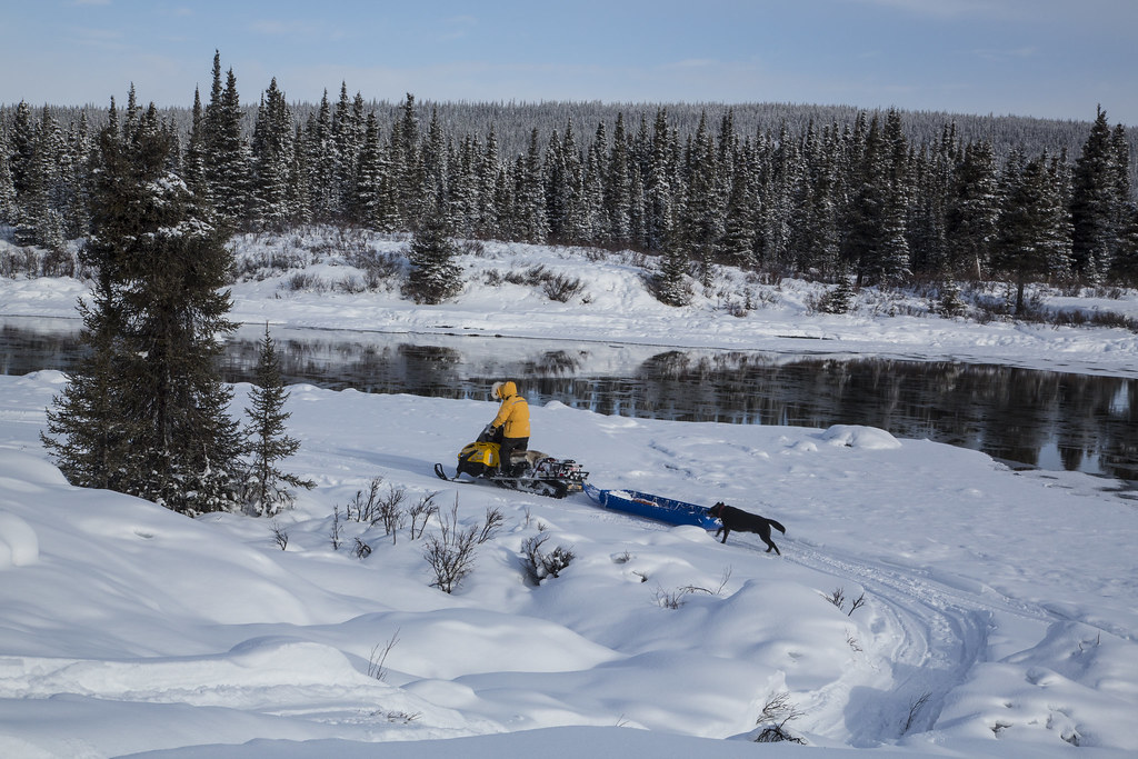 Gulkana Wild and Scenic River, Alaska The Gulkana River be… Flickr