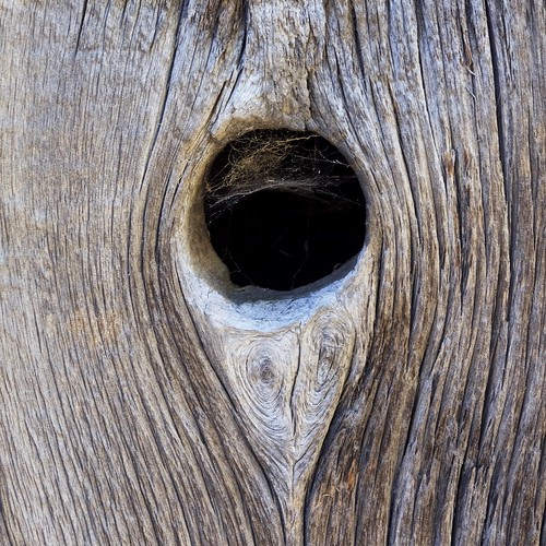 A Knot Hole designwallah Flickr