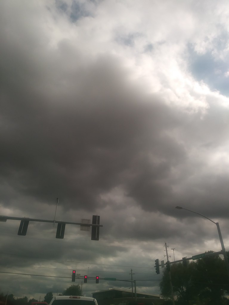 20170811_164910 Aurelia Reyes Flickr