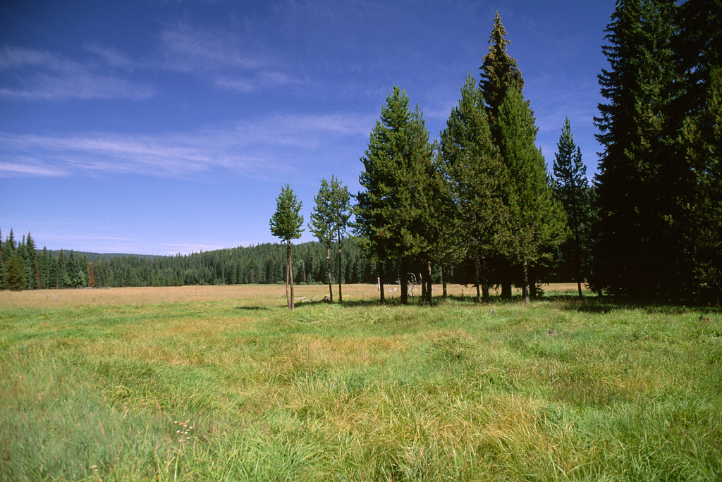 Desolation Meadows, Umatilla National Forest.jpg U.S. Forest Service