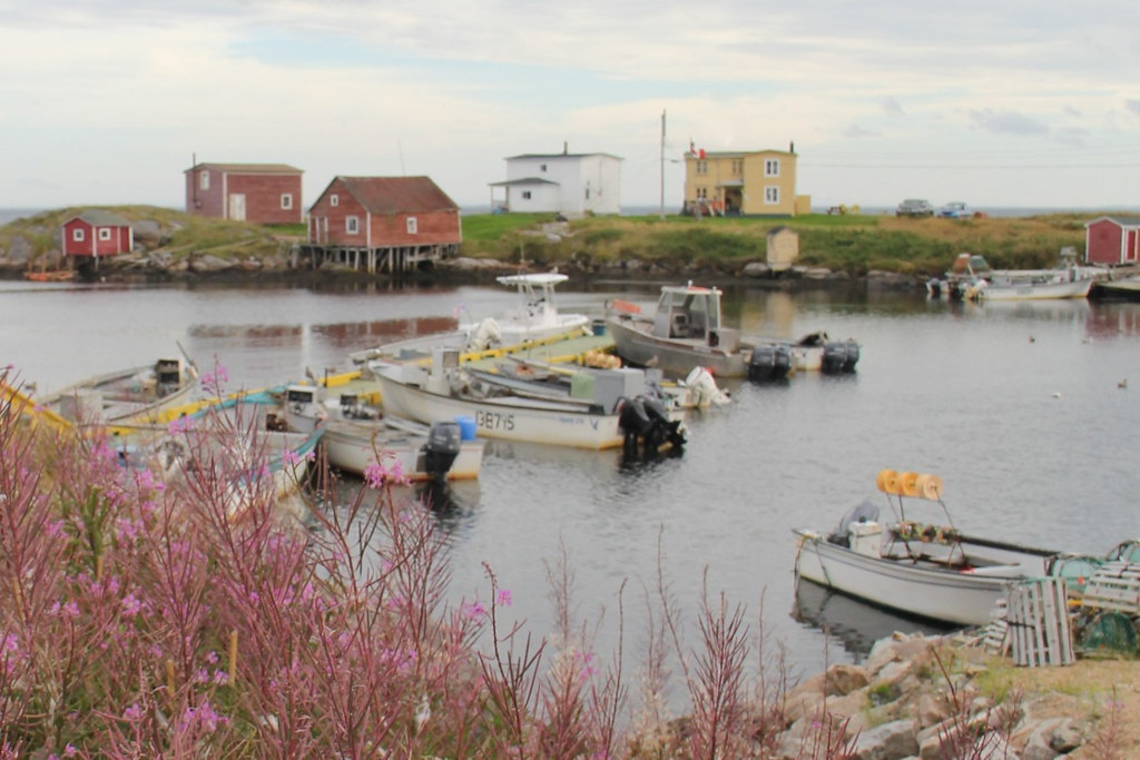 Greenspond Newfoundland Tracy Christina Flickr