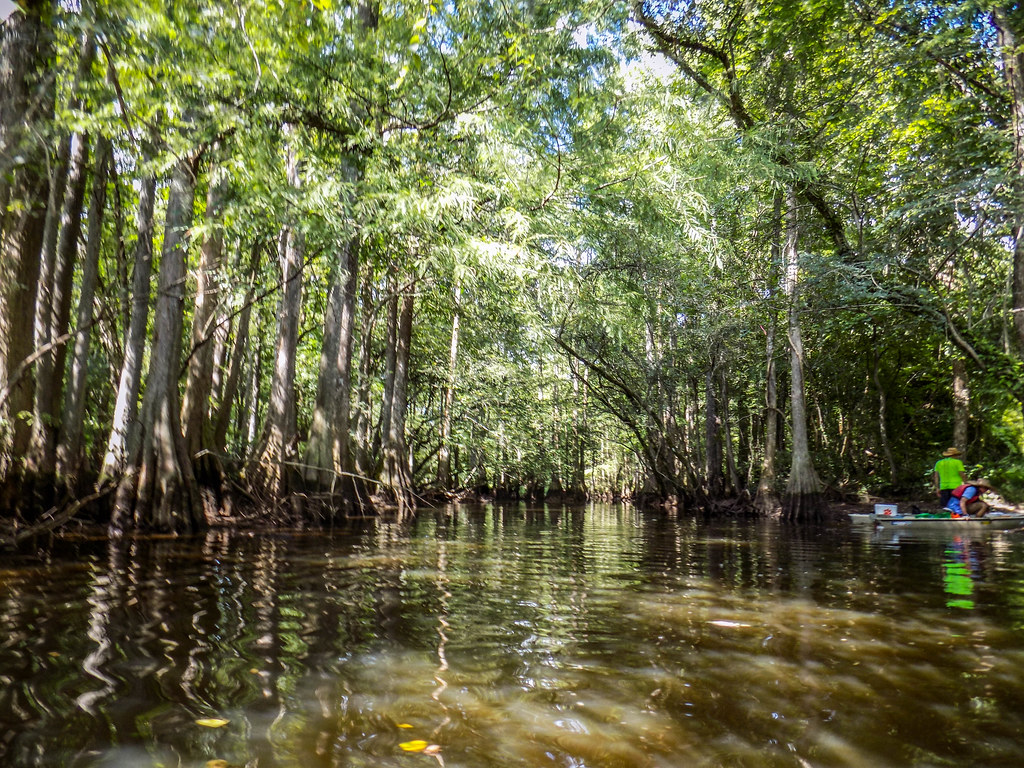Lynches River with Lowcountry Unfiltered9 Tom Taylor Flickr