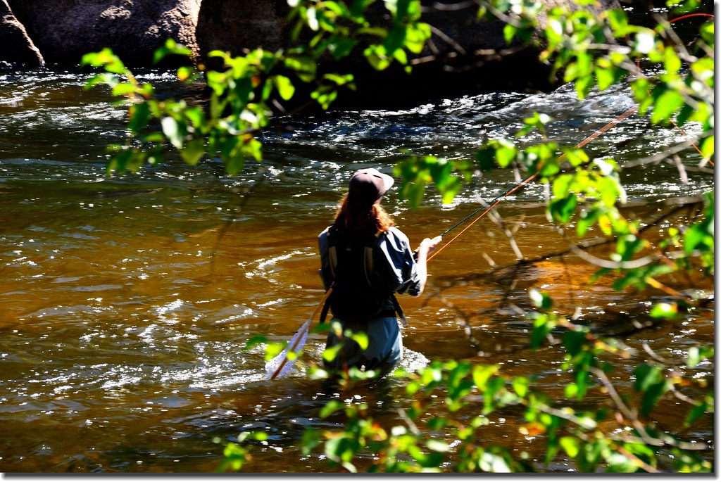 Fly fishing Cheesman Canyon on the South Platte River (9) Flickr