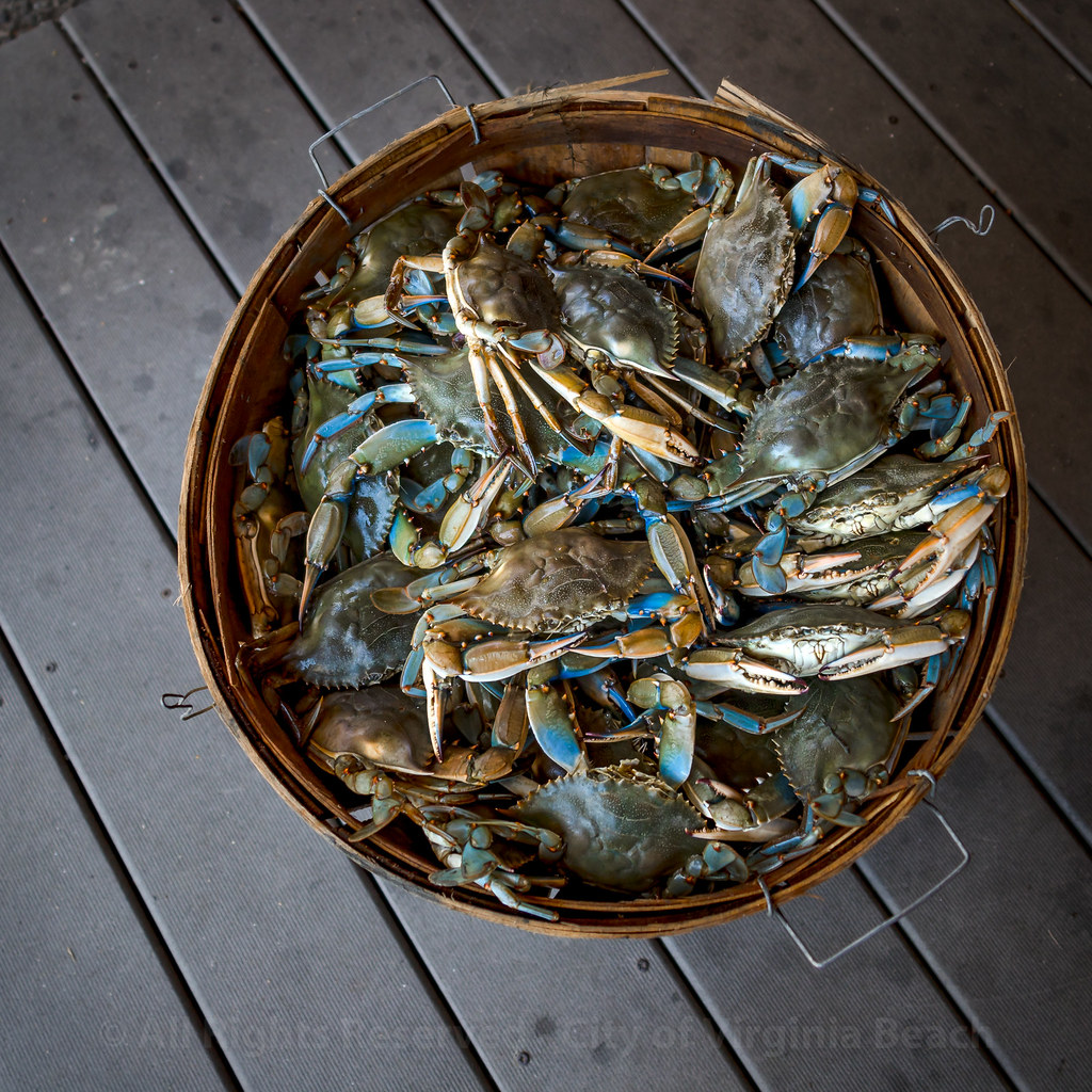 Farmers Market The Virginia Beach Farmers Market is open y… Flickr
