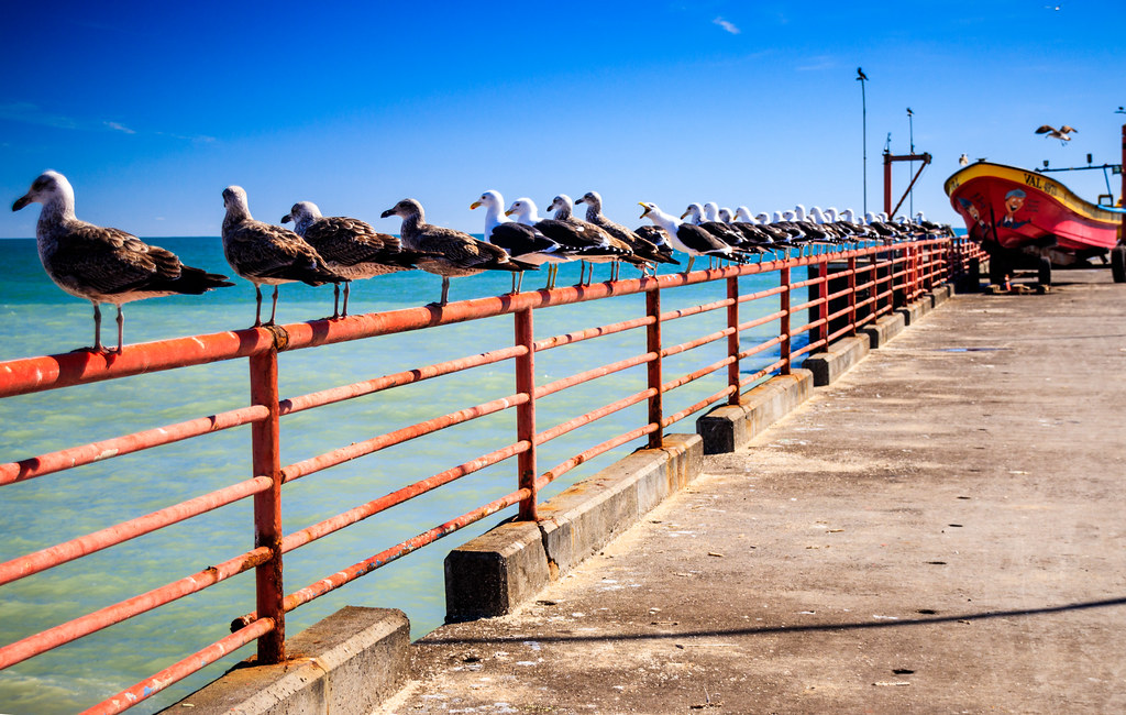 Valparaiso fish market rvnix Flickr