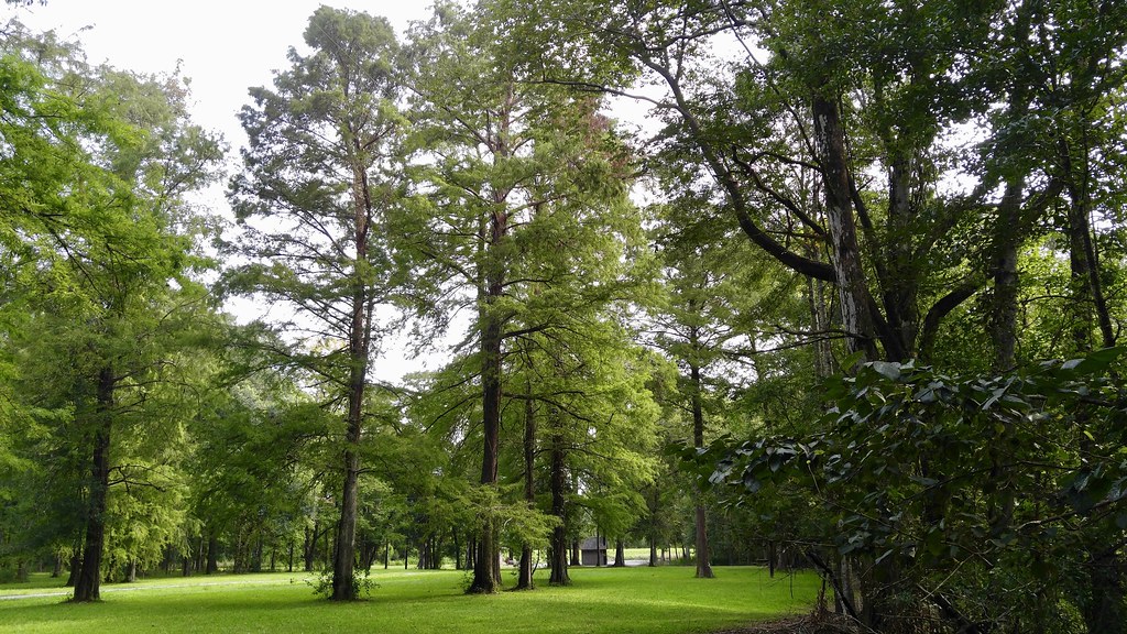 Indian Bayou area Habitat shot for eBird list Van Remsen Flickr
