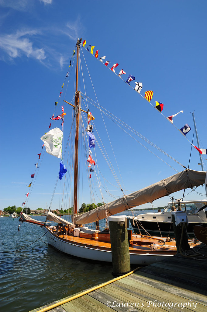 Elevation of Travelers Rest Cir, Easton, MD, USA Topographic Map