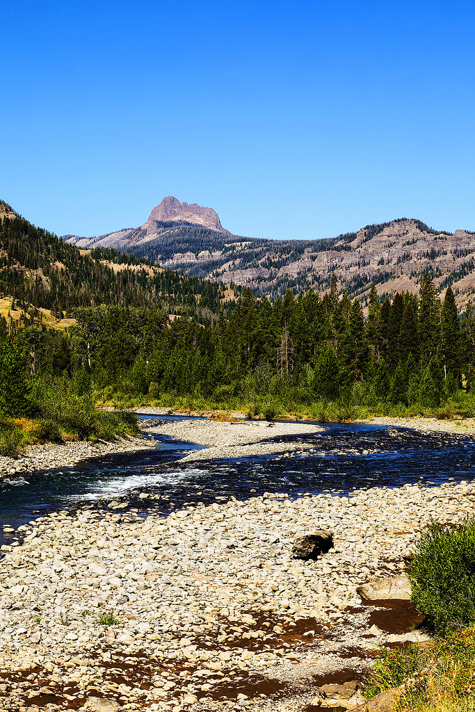 The North Fork Cody Peak rises above the North Fork of the… Flickr