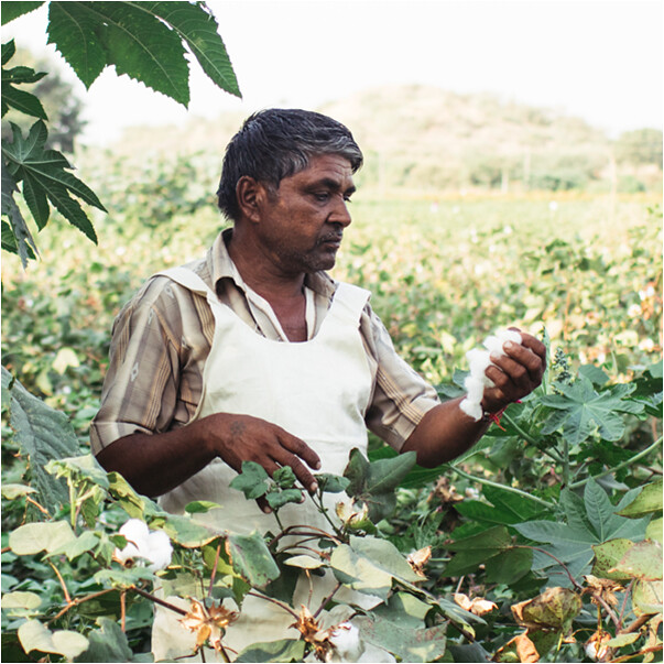 satva cotton farmers Organic cotton farmer in India. Satva… Flickr