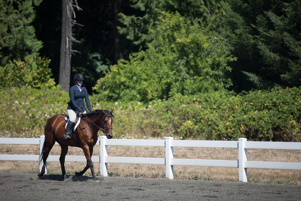 20170826.Horse Show in Wilsonville112 Cory Hanson =MyKDE= Flickr