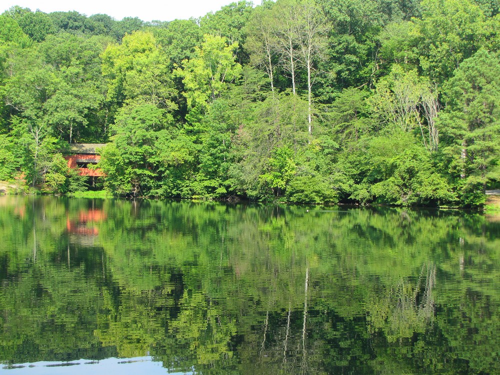 Lake Reflections Here's a shot of Lake Loretta, taken last… Flickr
