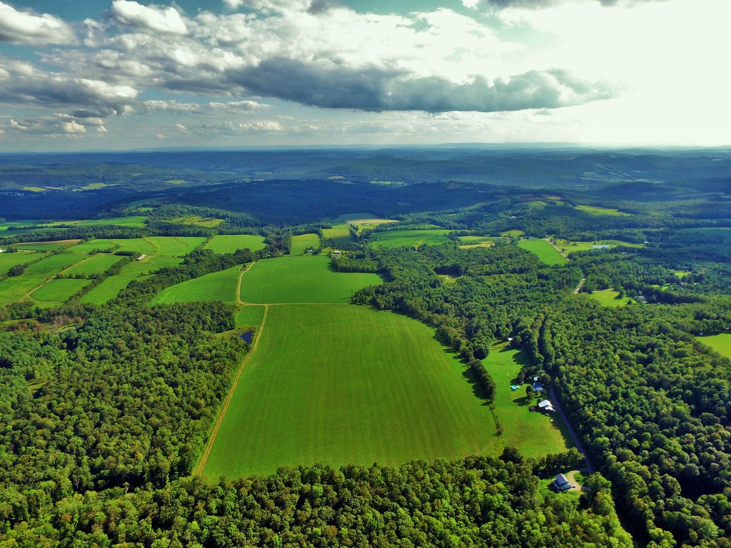 Elevation of Lisle Road, Lisle Rd, Owego, NY, USA Topographic Map