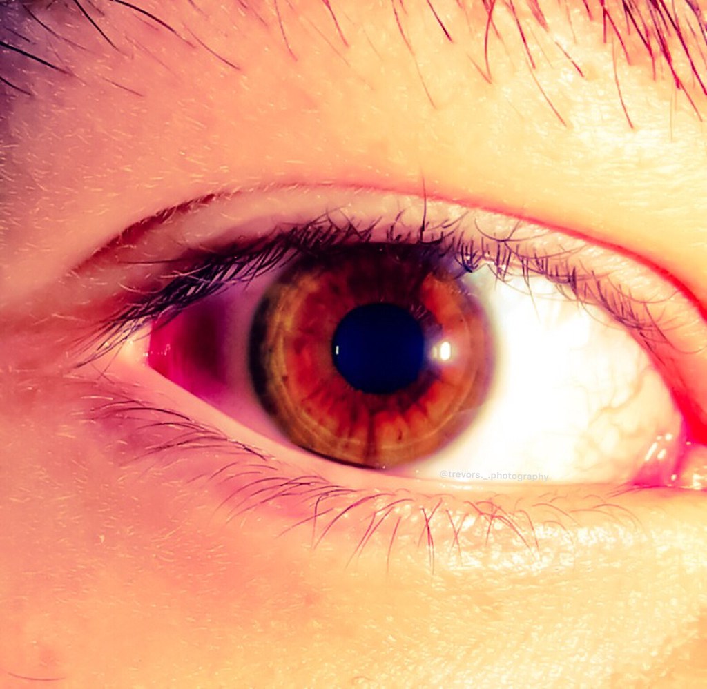 Close up of an eye Submitted by Trevor Harris Country Un… Flickr