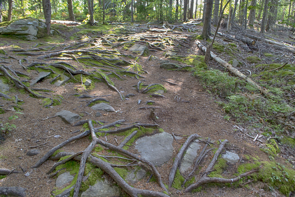 Admiral Cove Park Map, Guide & 360° Virtual Tour Halifax, NS