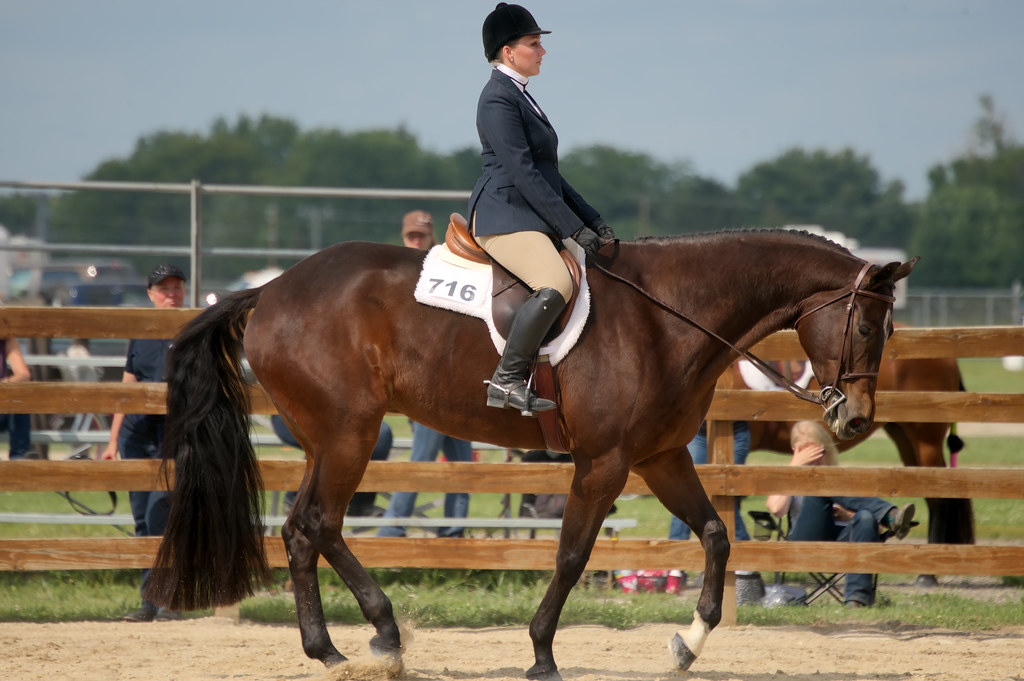 Badger Summer Classic Badger Quarter Horse Association Sum… Flickr