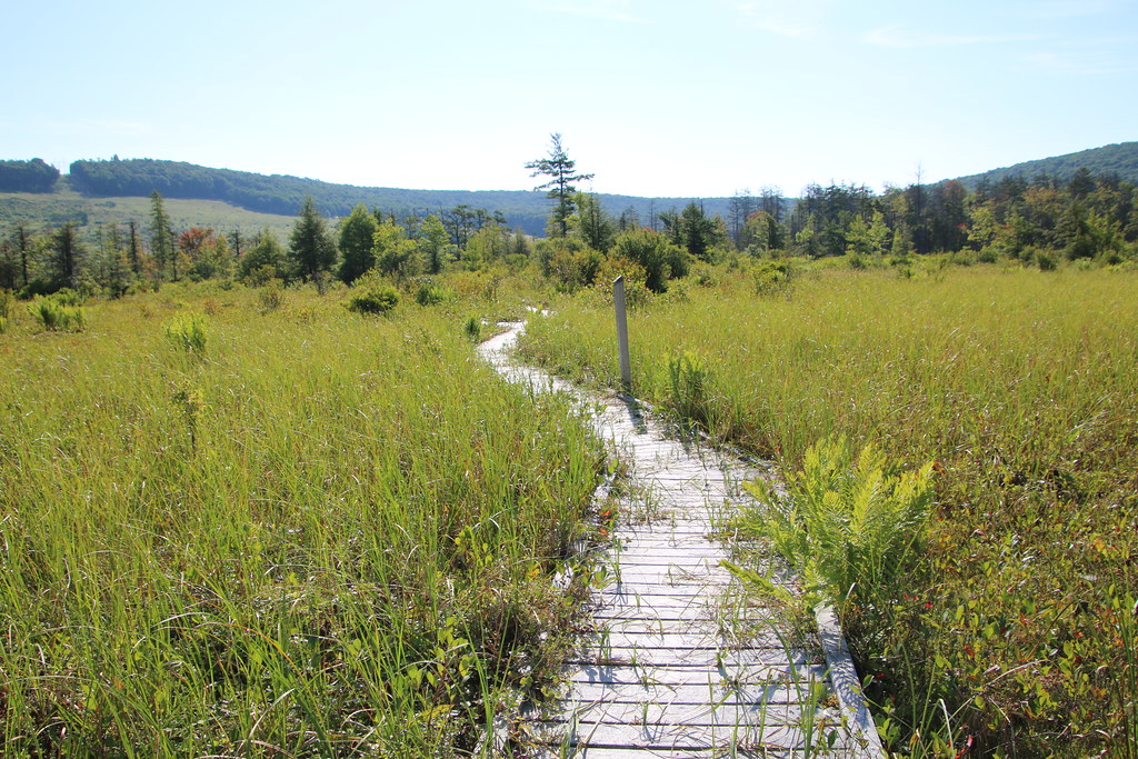 Visit to Cranesville Swamp Preserve (West Virginia & Maryl… Flickr