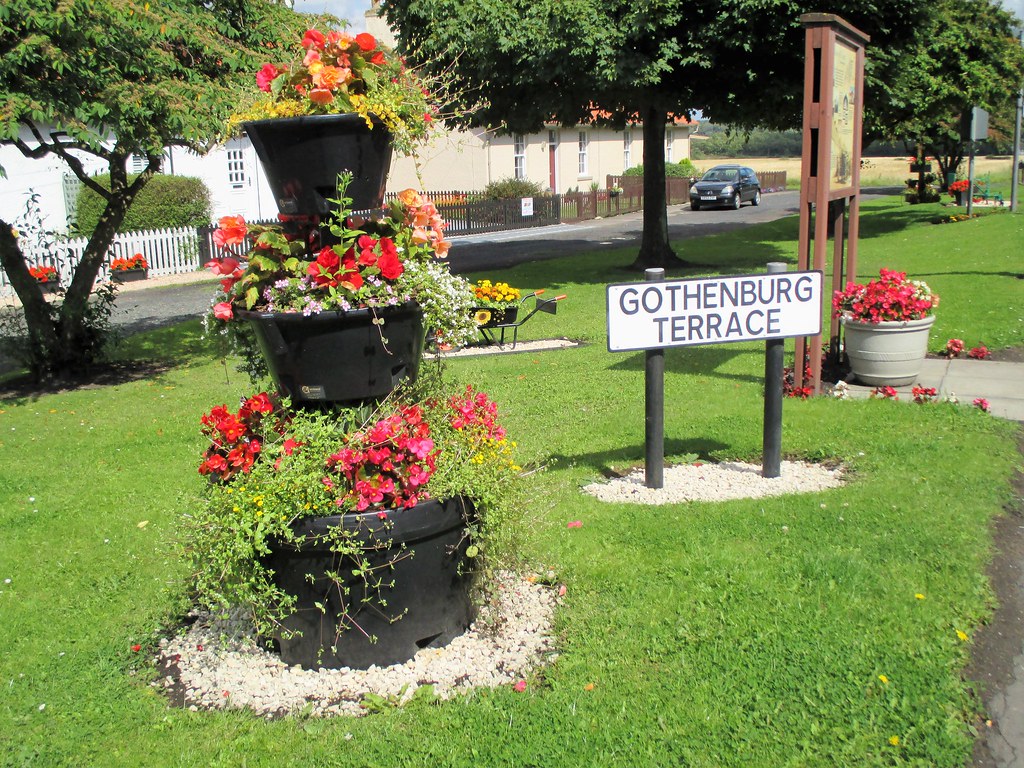 Flower Tier. Gothenburg Terrace. Coaltown Of Wemyss. Fife.… Flickr