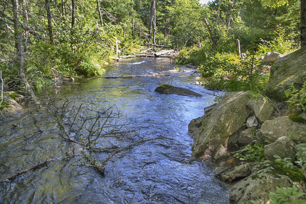 McIntosh Run Community Trail Map, Guide & Virtual Tour Halifax