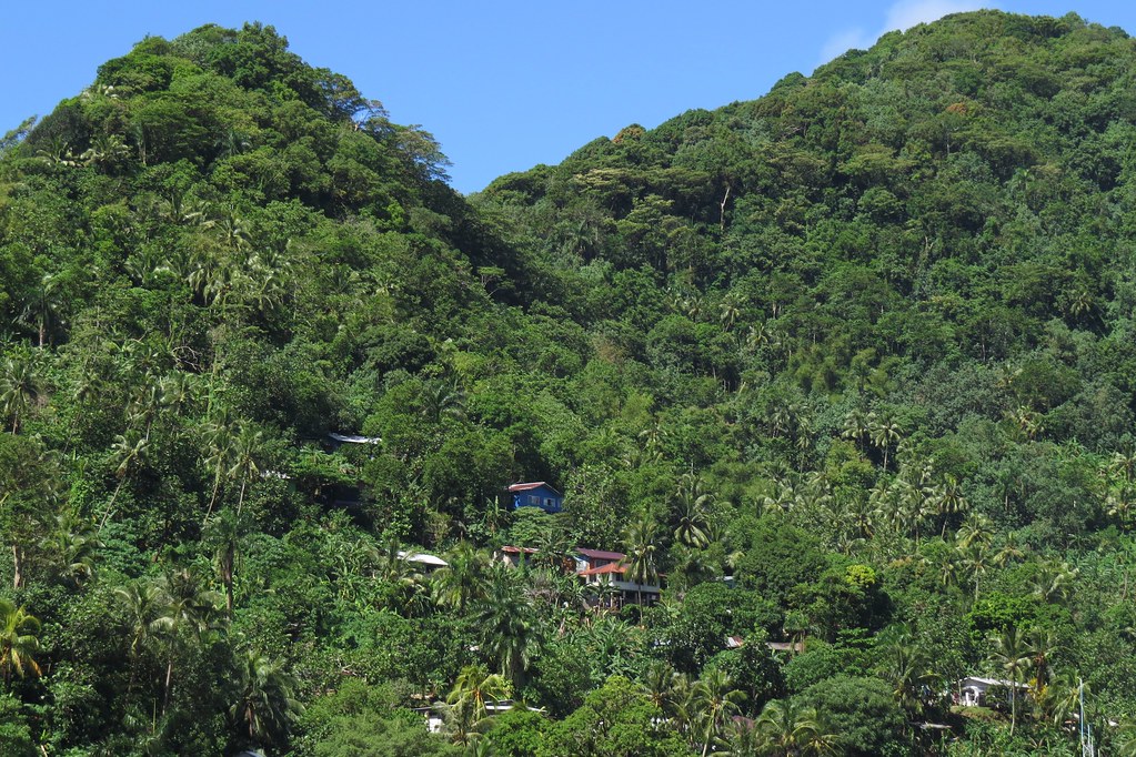 American Samoa Homes on the Hillside Above the village of… Flickr