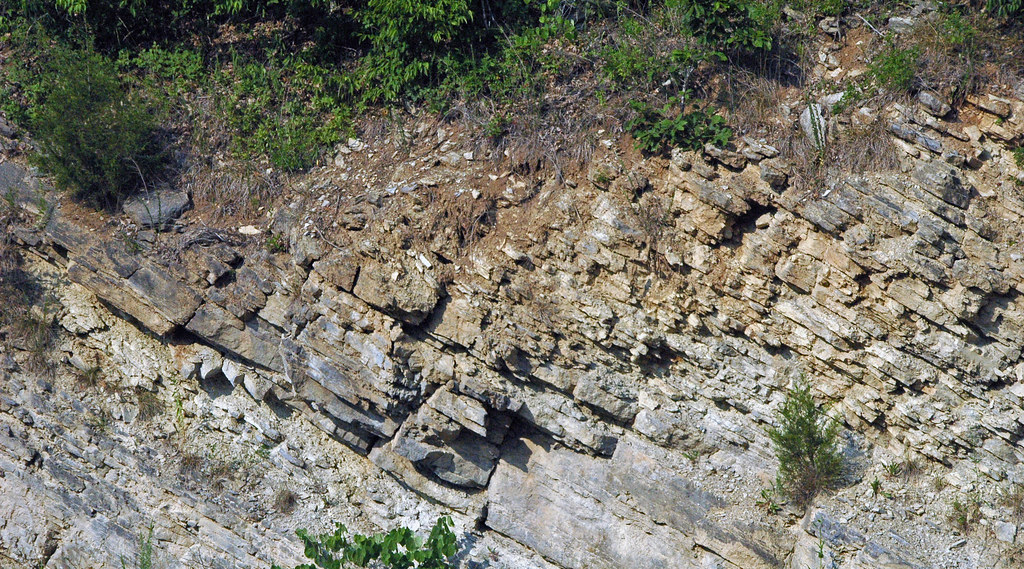 Structurally tilted limestones (Moccasin Formation, Middle Ordovician