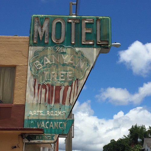 Banyan Tree Motel 610 4th St N, St. Petersburg, FL 33701 jericl cat