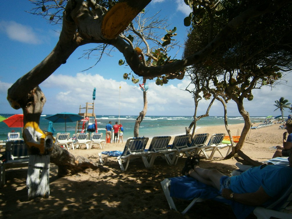 Coconut Cove Beach Dominican Republic In February 2017, … Flickr