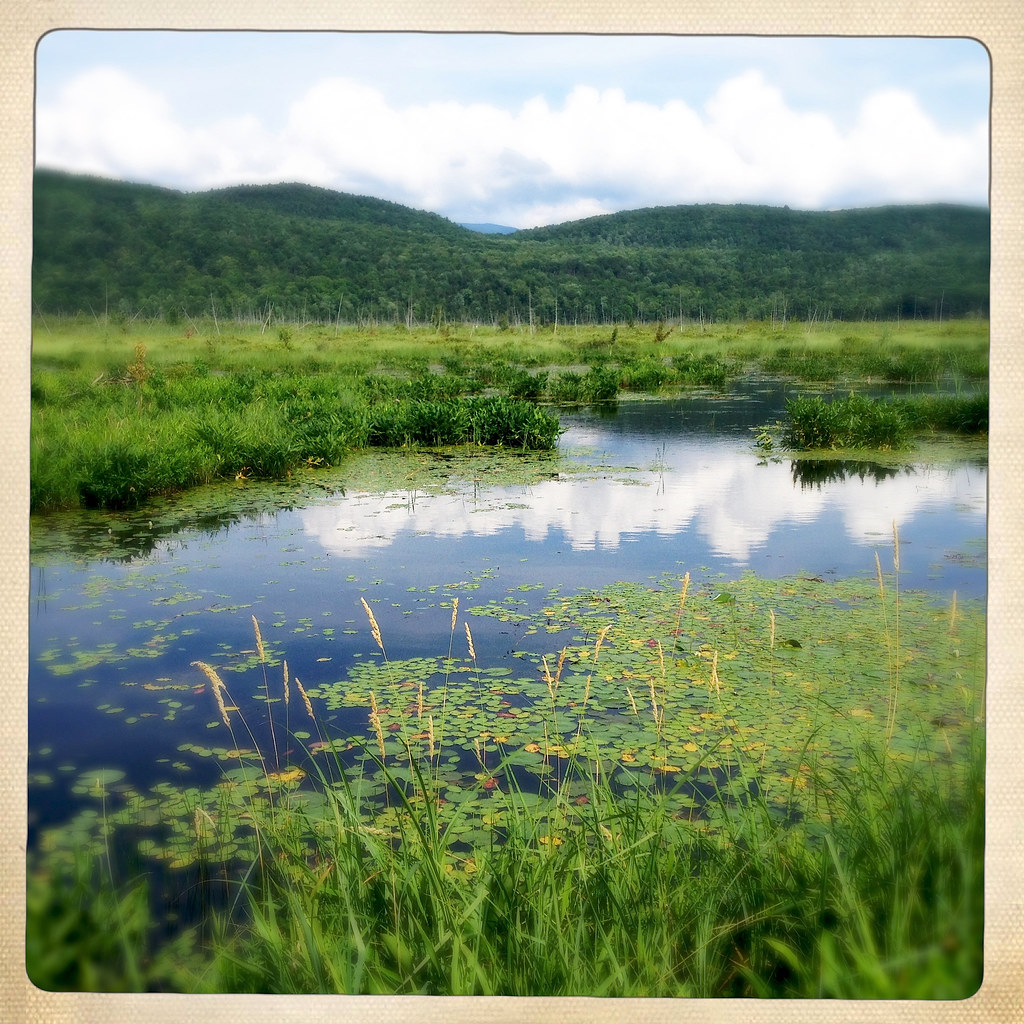 Bristol Pond * a m e l i a * Flickr