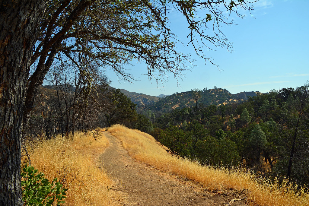 Cache Creek Wilderness Clearlake, Ca. Mark Ness Flickr
