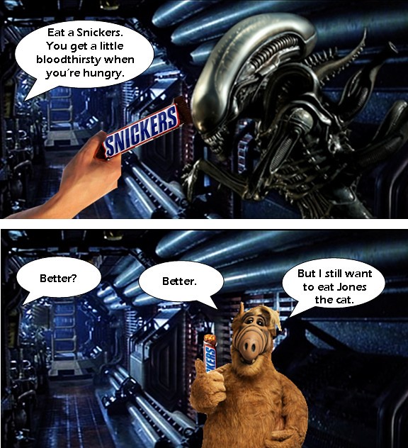 THE SNICKERS COMMERCIAL I WANT TO SEE When a cat isn't ava… Flickr
