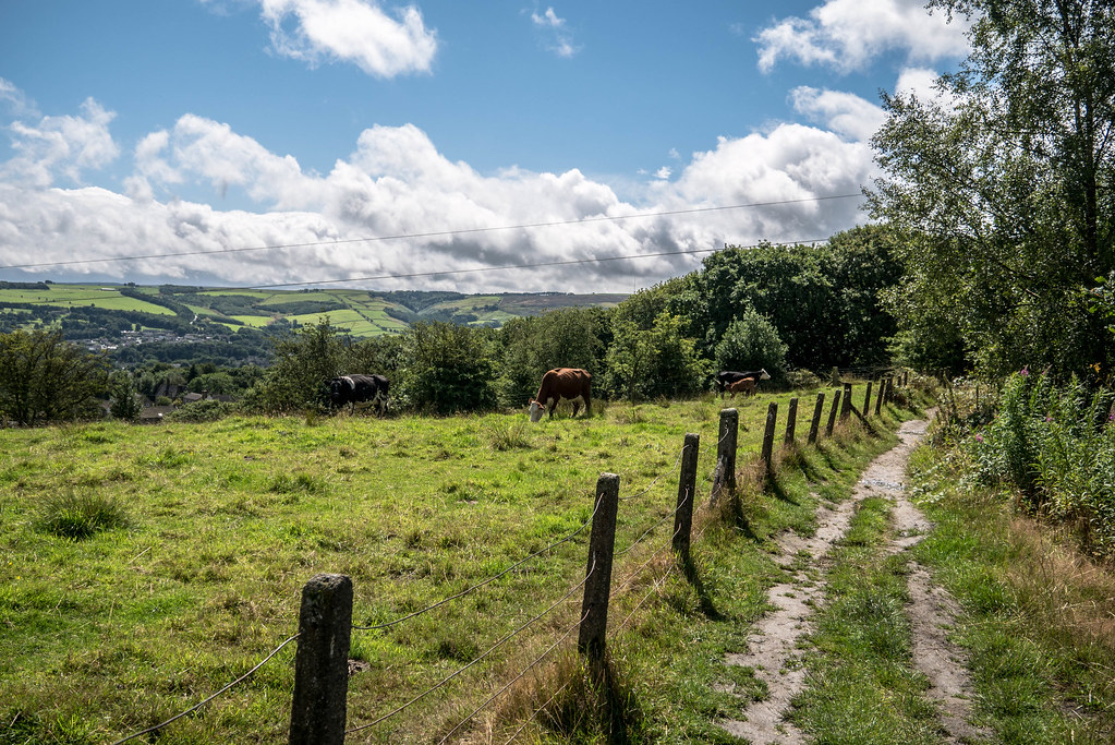 Rural England, Pennines, West Yorkshire. Peter Hosey Flickr