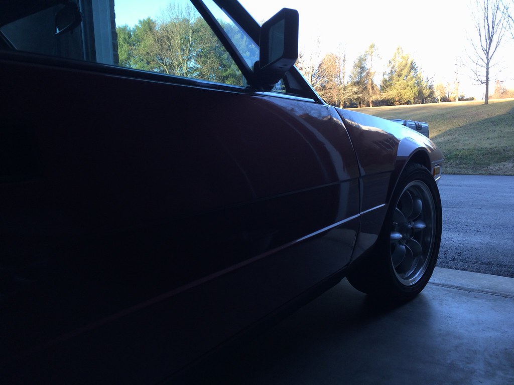 IMG_5659 Cyrus EtemadMoghadam Flickr