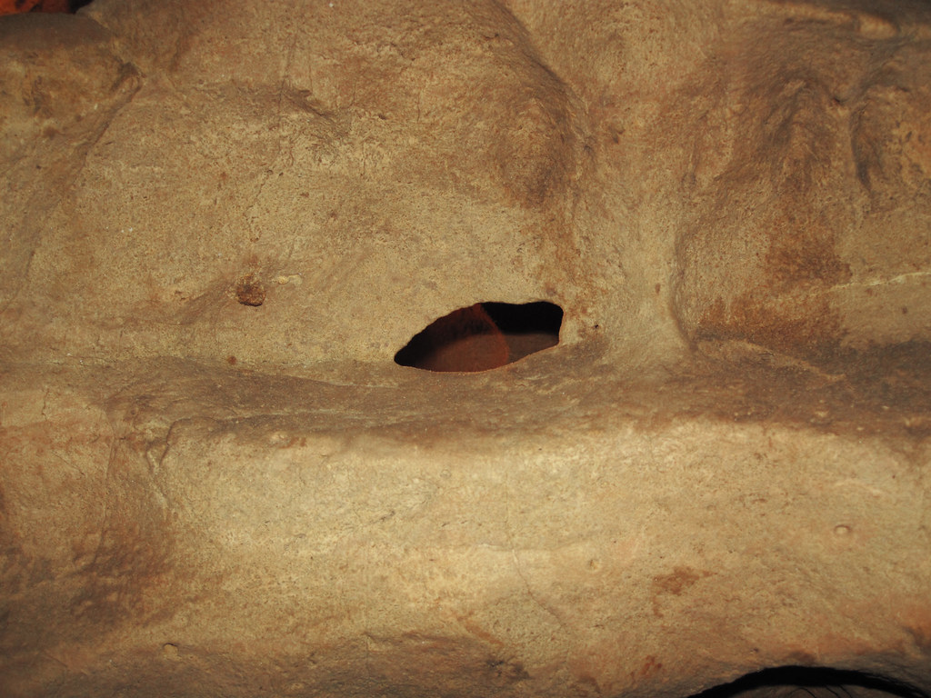 Solution window in dolostone (Prairie du Chien Group, Ordovician