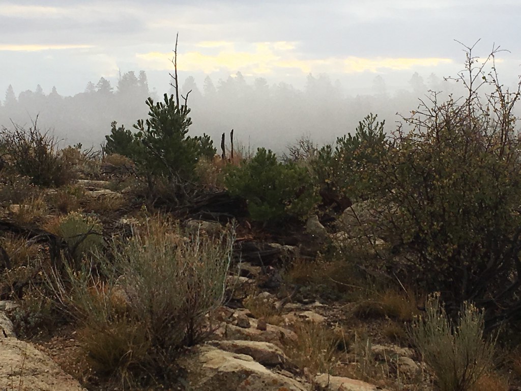Deer Hunting 2017 Book Cliffs, Utah Kyle Secretan Flickr