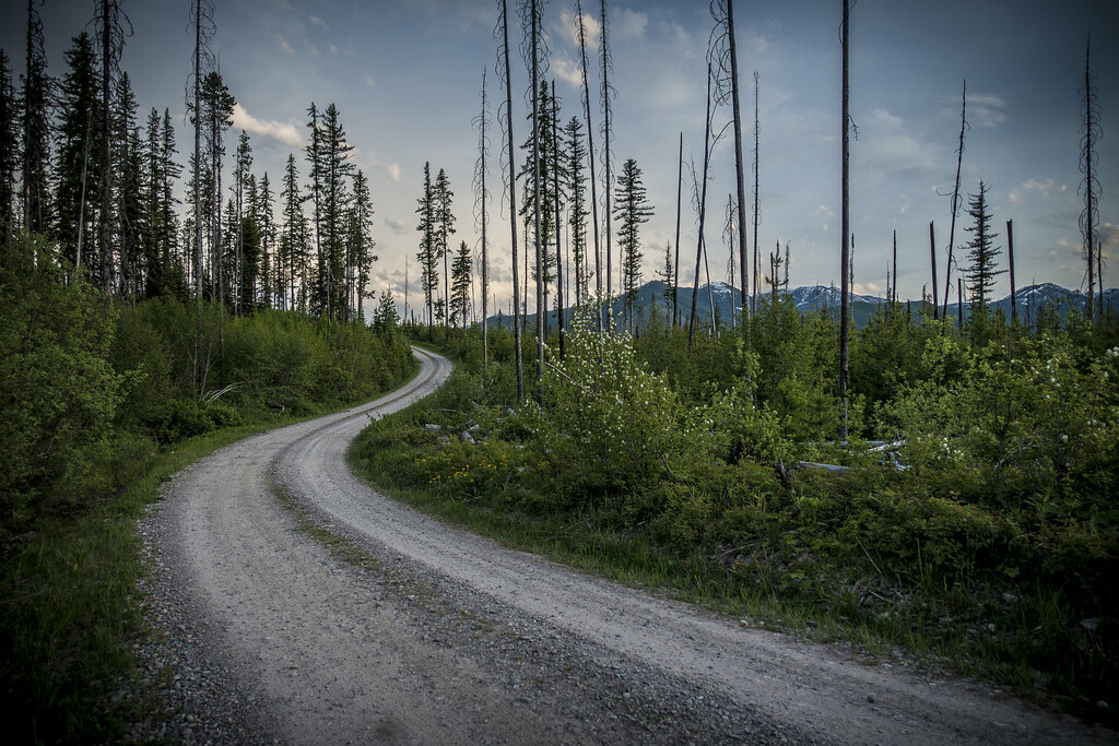 Inside North Fork Road GlacierNPS Flickr