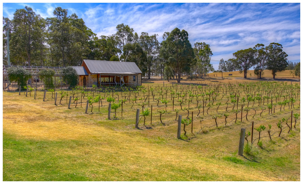 Pepper's Winery, Pokolbin, Upper Hunter Valley, NSW, Austr… Flickr