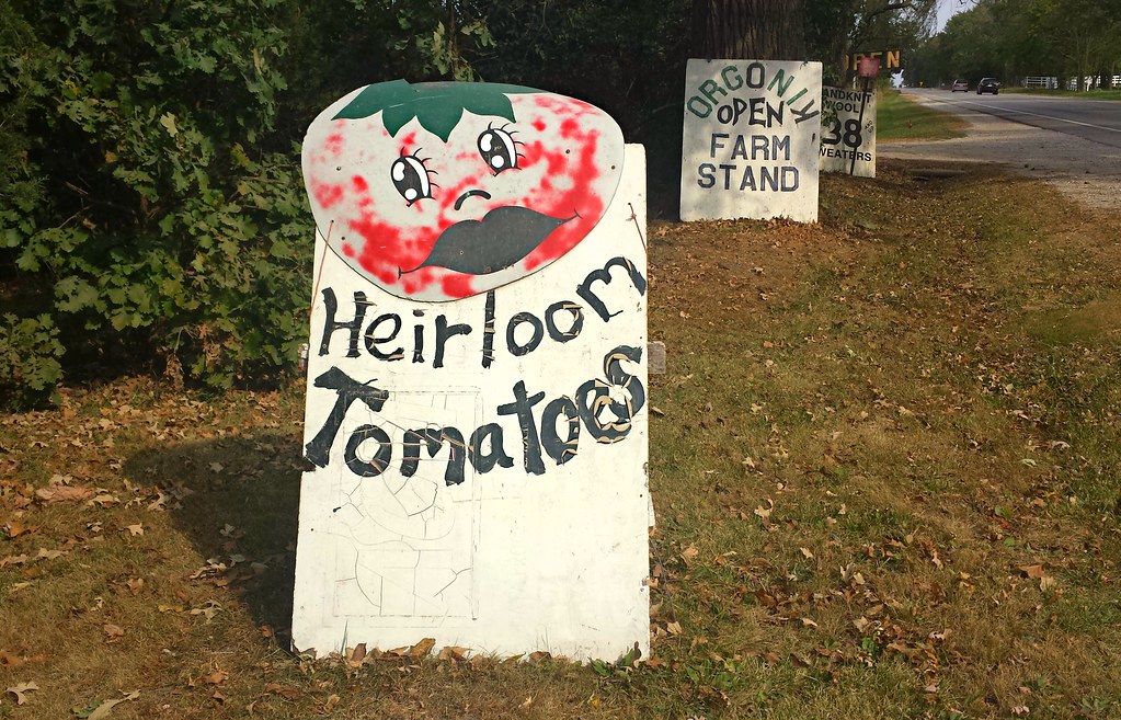 Heirloom Tomatoes Spring Grove, Illinois Cragin Spring Flickr