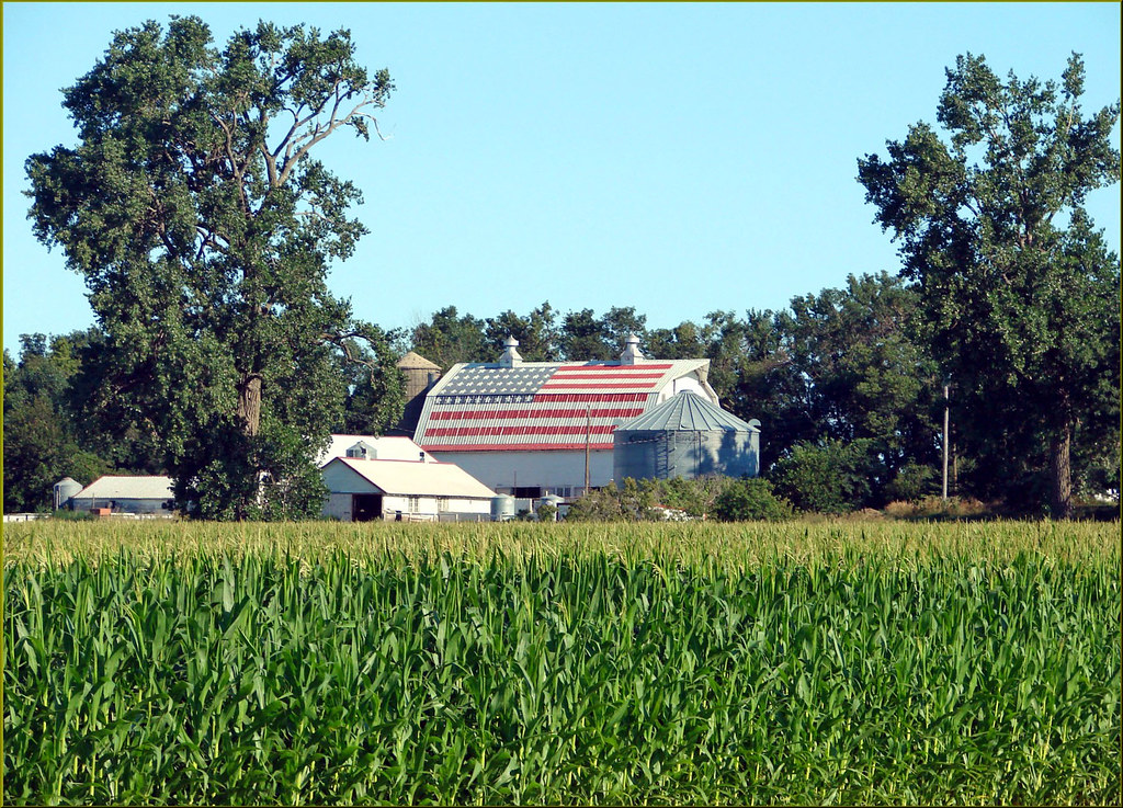 American Heartland, MN 713 (1 in a multiple picture album… Flickr