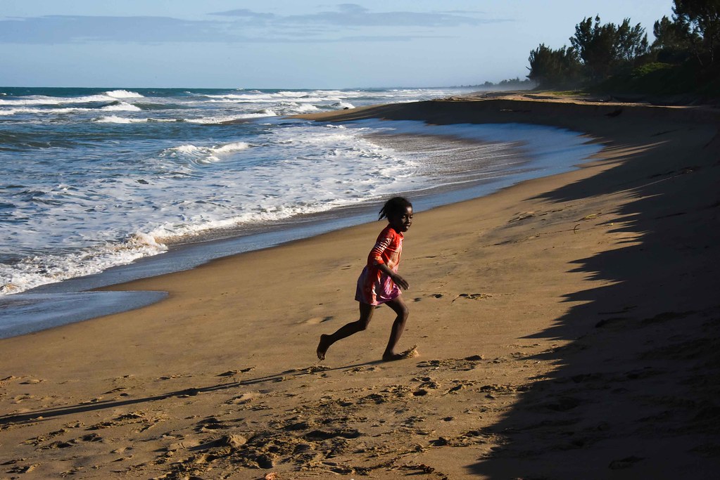 Beach Life Madagascar Rod Waddington Flickr