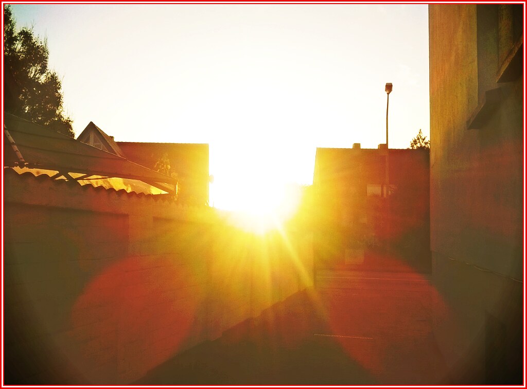 RL (97) Just because the sun greeted me brightly at that m… Flickr