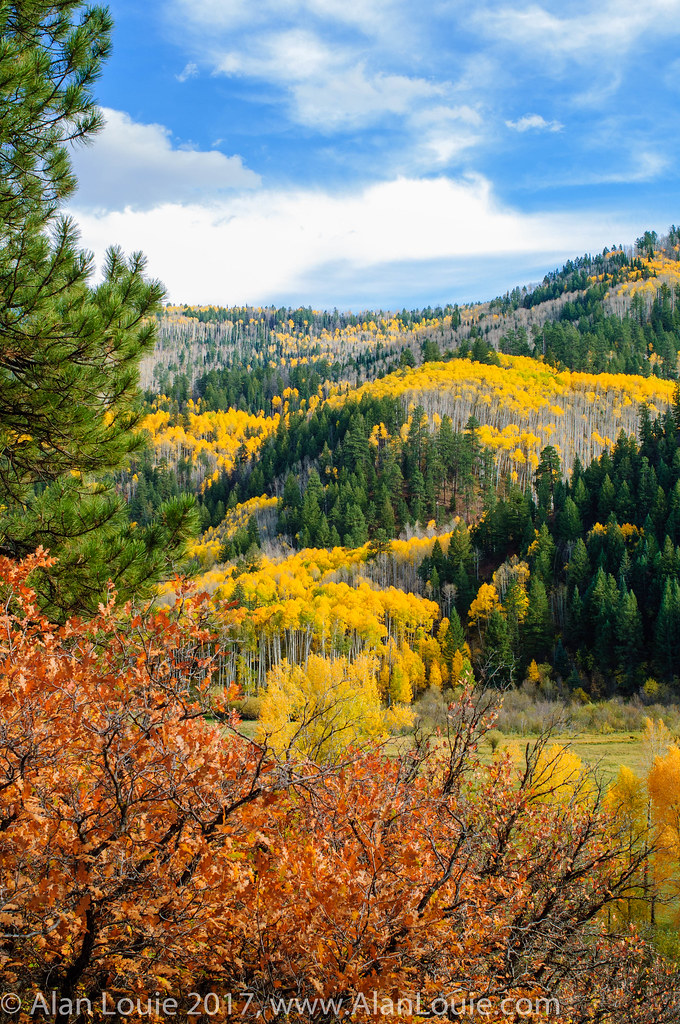 Elevation of Dolores, CO, USA Topographic Map Altitude Map