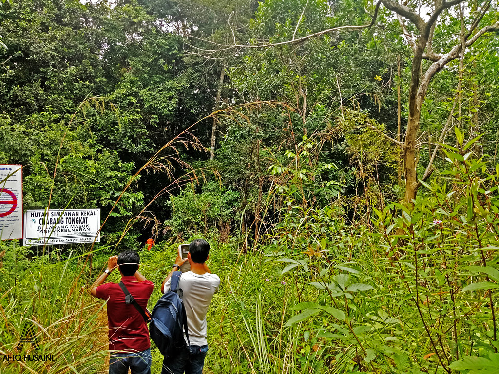 Hutan Simpan Kekal In English