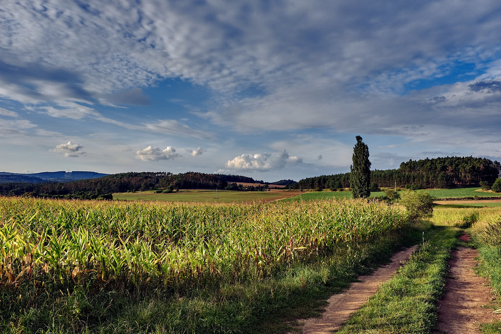 Late summer in the fields FUJIFILM X100F, 19mm, f11, 1/280… Flickr
