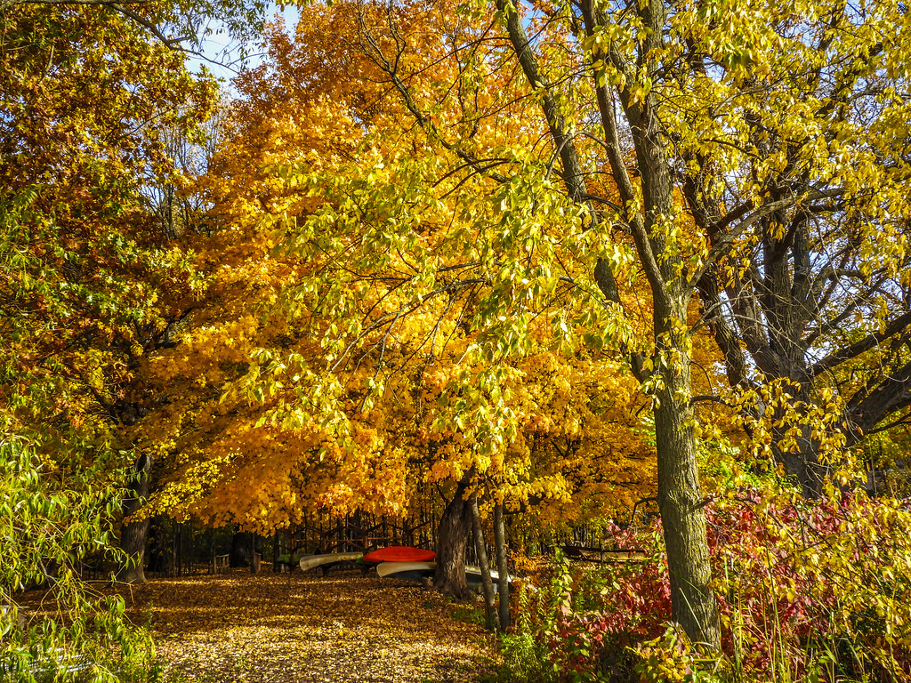 Chevalle Park Chaska Mn. Don Kisseberh Donald Kisseberth Flickr