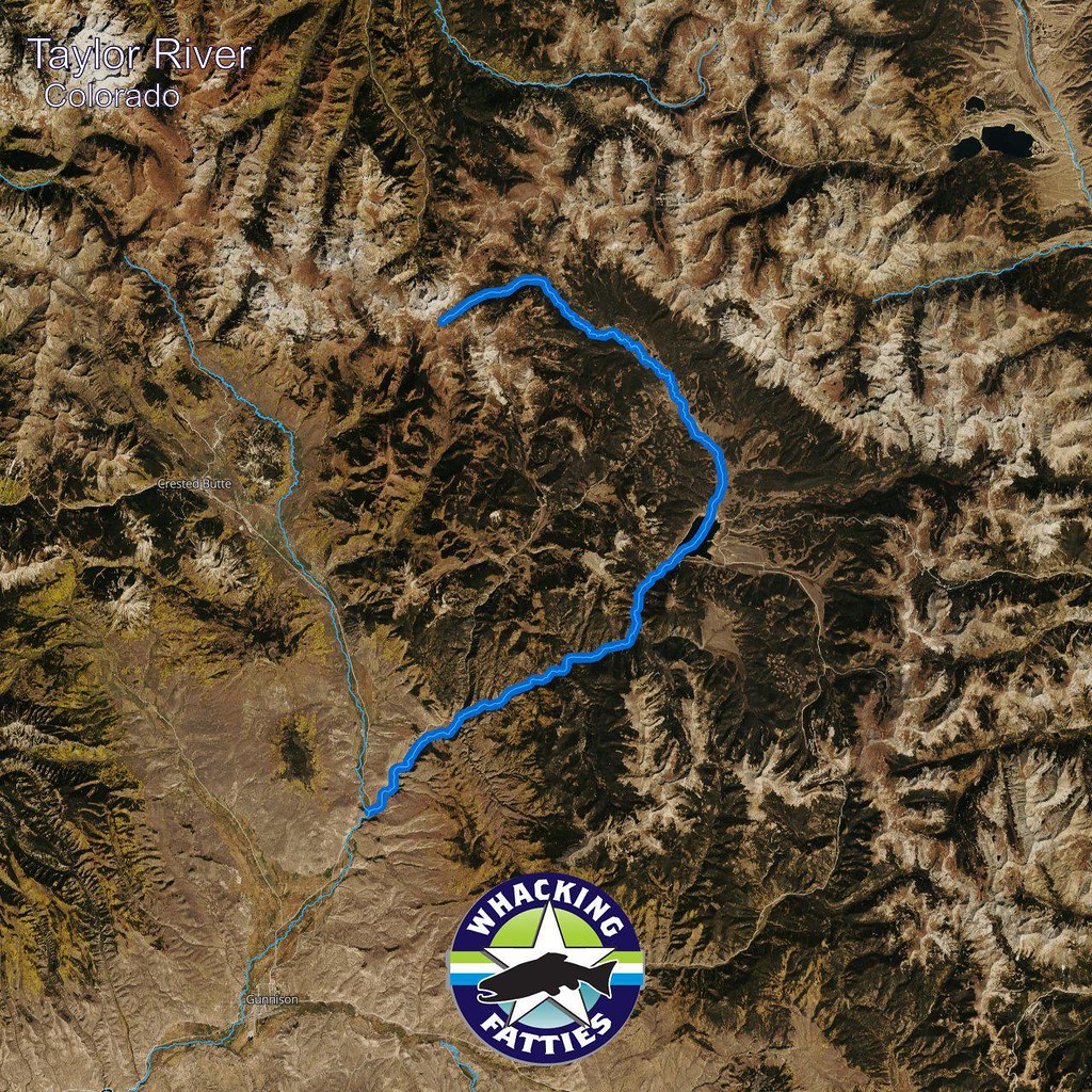 Taylor River, Colorado Taylor River, Colorado Fly Fishing … Flickr