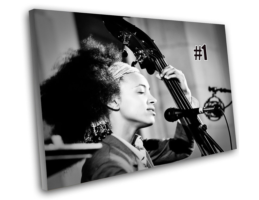 Esperanza Spalding Canvas Flickr